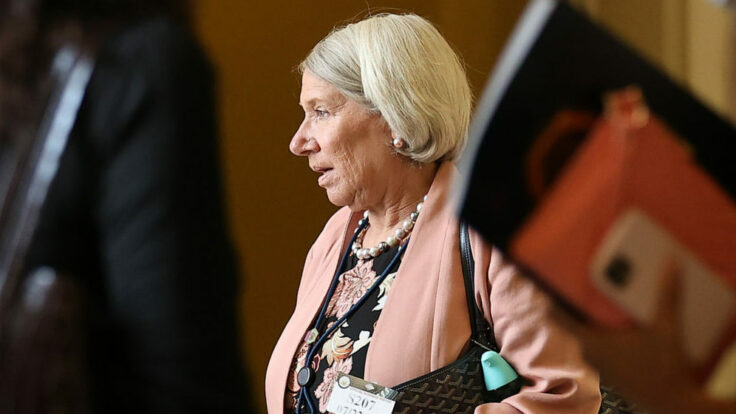 Presidential Advisor Anita Dunn Meets With Democrats On Capitol Hill