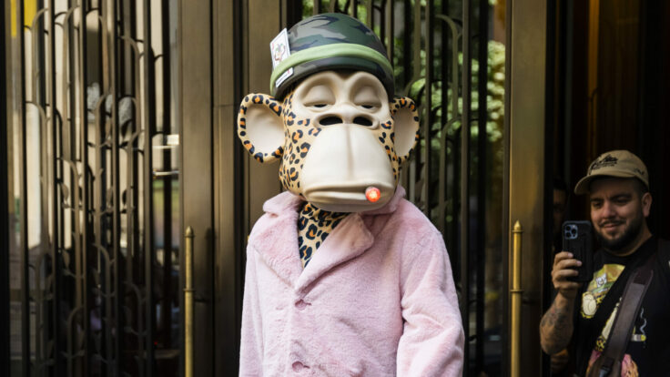 bored ape