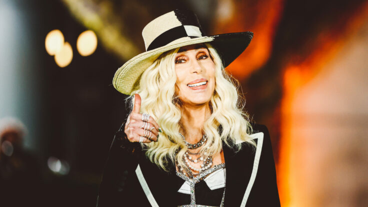 Previous rulings indicate that Cher should be deemed the favorite. But all of Hollywood will be watching closely to see how broadly Kronstadt rules.