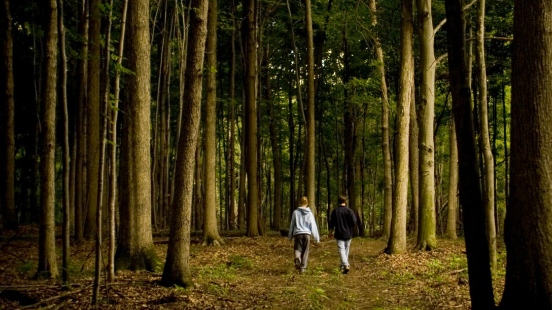 forest