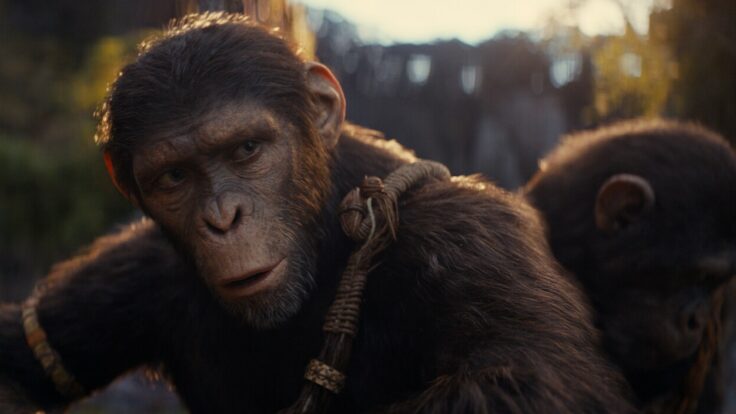 kingdom of the planet of the apes