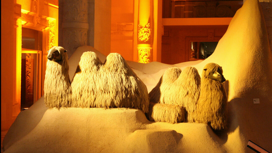 Lalanne at market
