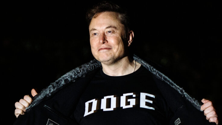 elon musk doge