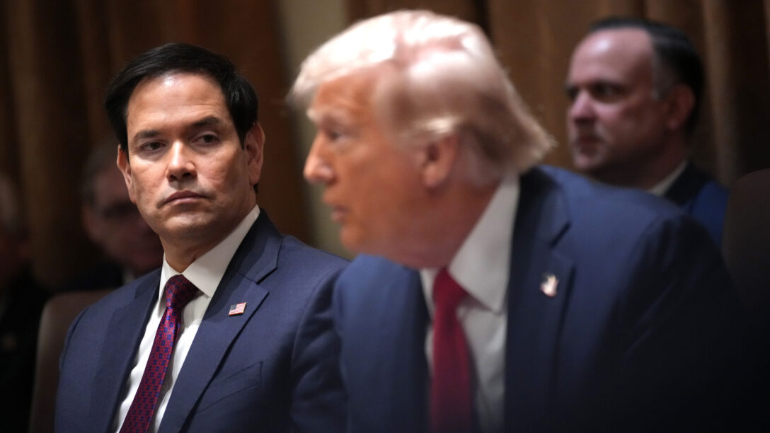 marco rubio trump